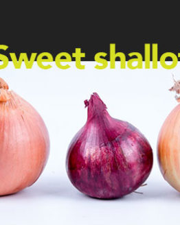 sweetshallot